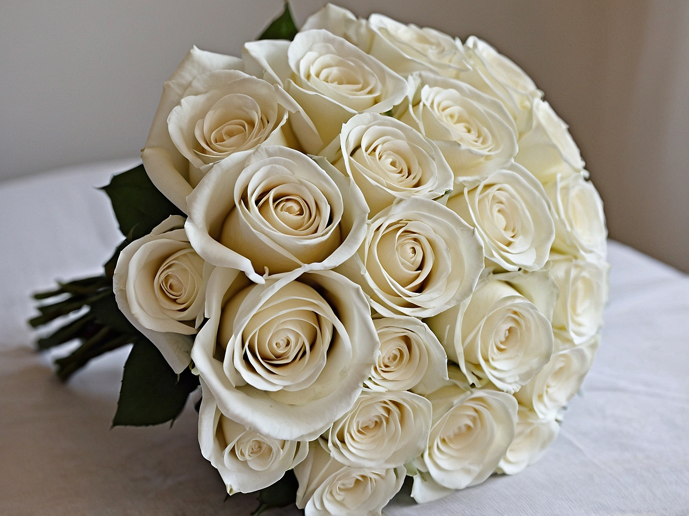 SixiOmeQofuPum San Miguel de Tucumán 3